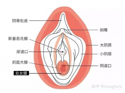 第一次爱爱前的必读指南（收藏级）